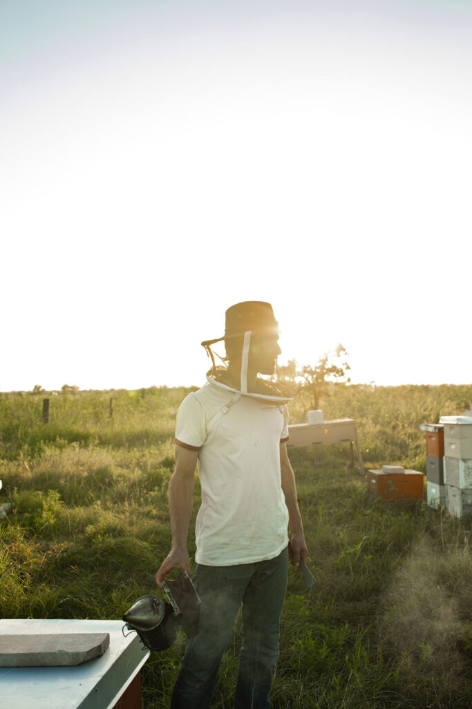 Beekeeper in texas bee farm