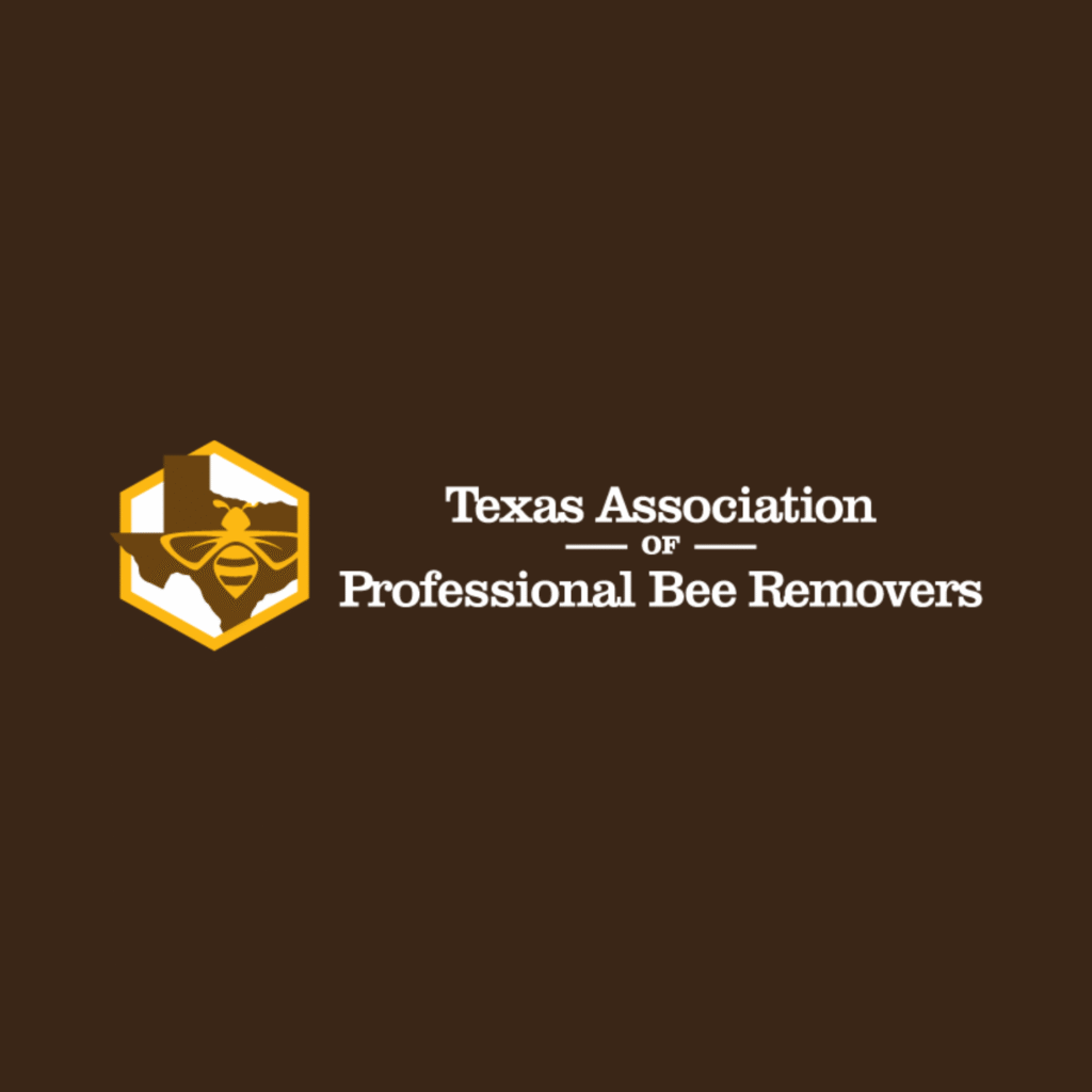 Texas bee removal icon